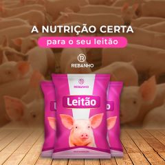 Suplementação Suína - Leitão