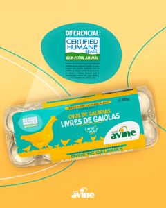 Ovo Branco de Galinha - Livres de Gaiolas 