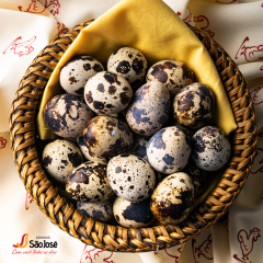 Ovo de Codorna São José