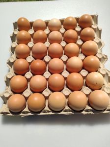 GRANJA PARIS Bandeja com 30 ovos	