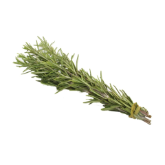 Sempre Verde Alecrim