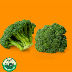 Sempre Verde Brócolis