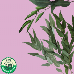 Sempre Verde Eucalipto