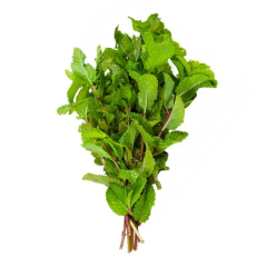 Sempre Verde Hortelã