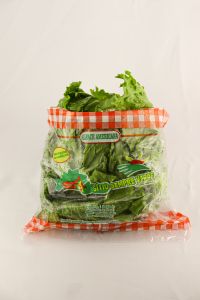 Sempre Verde Alface Americana