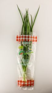 Sempre Verde Cebolinha