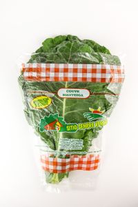 Sempre Verde Couve Manteiga