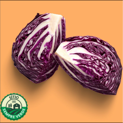 Sempre Verde Repolho Roxo