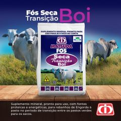 Seca Transição Boi Matsuda