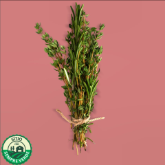 Sempre Verde Tomilho