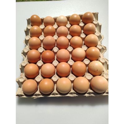 GRANJA PARIS Bandeja com 30 ovos	