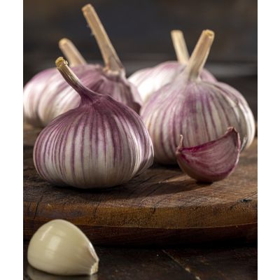 ALIMEMPRO Alho Roxo Brasileiro 