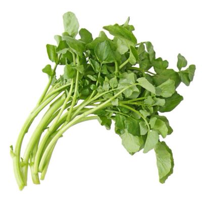 Sempre Verde Agrião Salada