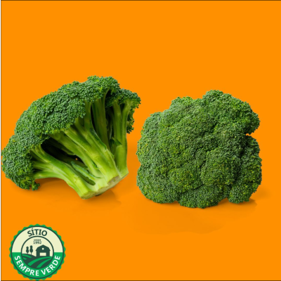 Sempre Verde Brócolis
