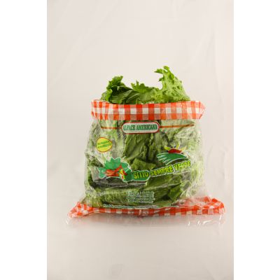 Sempre Verde Alface Americana