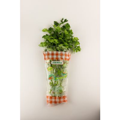 Sempre Verde Coentro