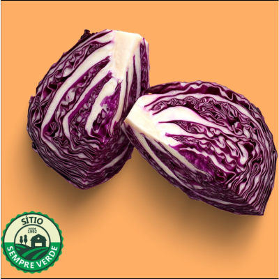 Sempre Verde Repolho Roxo