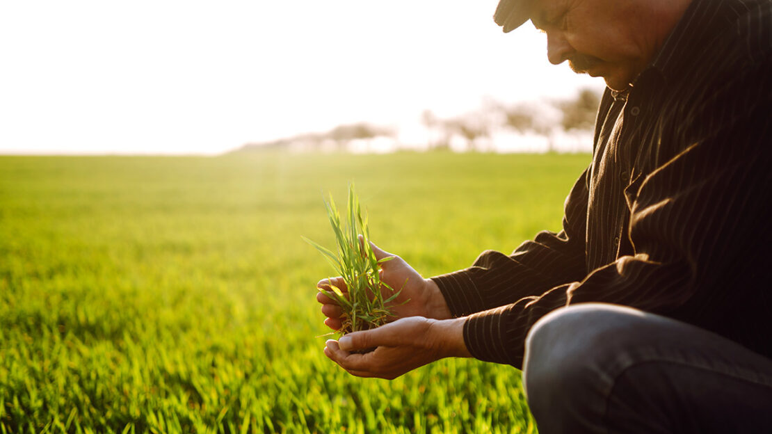 Agroindústria cearense cresce e impulsiona avanços na economia